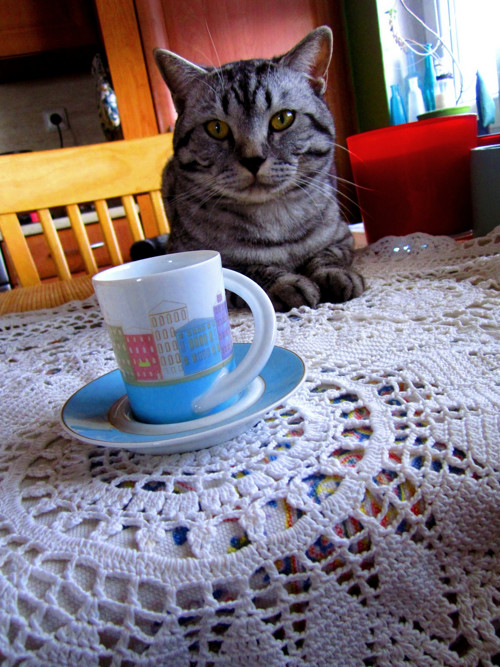Rosenthal souprava na espresso — foto 1