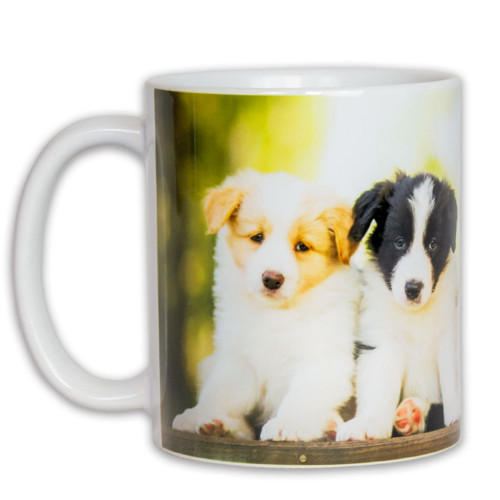 Hrnek – Štěňata Border Collie