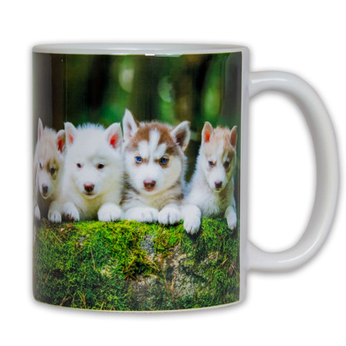 Hrnek – Štěňata Husky