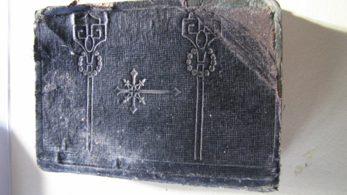 Pod praporem královny nebes, r.1916