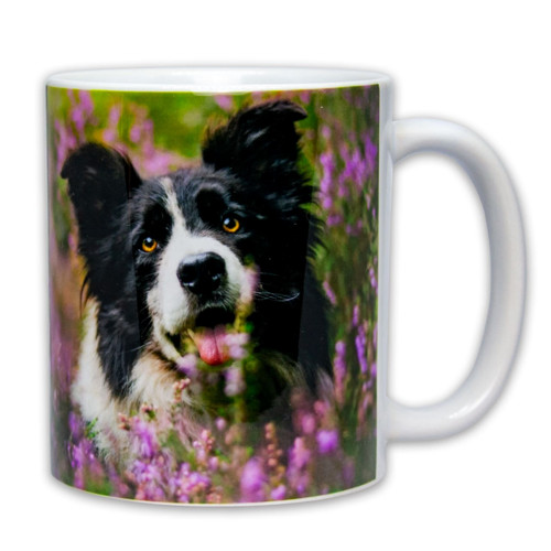 Hrnek – Pes Border Collie