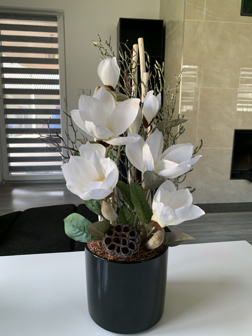 Magnolie 60cm — foto 1