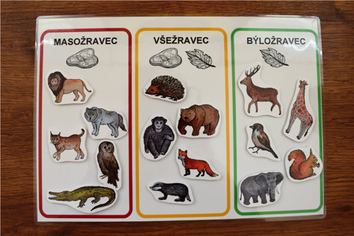 216. Masožravec, všežravec, býložravec