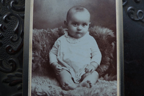 První focení...stará kabinetní fotografie