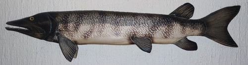 Štika, 107 cm, interiér