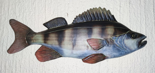 Okoun, 42 cm, interiér