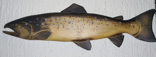 Pstruh, 66 cm, interiér