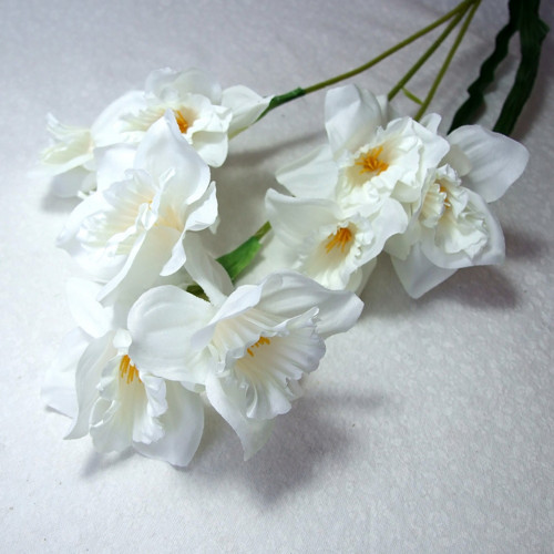 Narcis bílý 65 cm — foto 1
