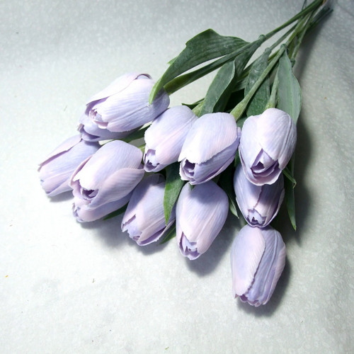 Tulipán fialovo-růžový