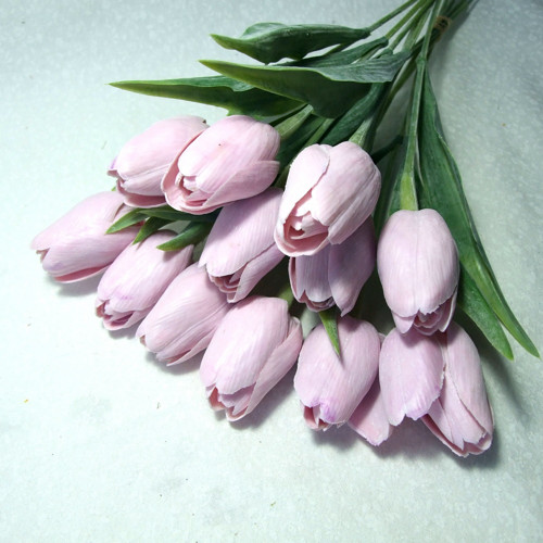Tulipán světle růžový — foto 1