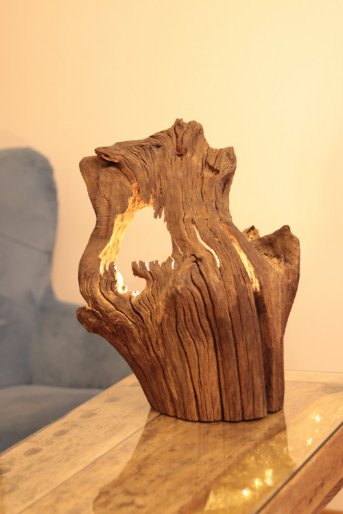 Pařezová lampa — foto 1