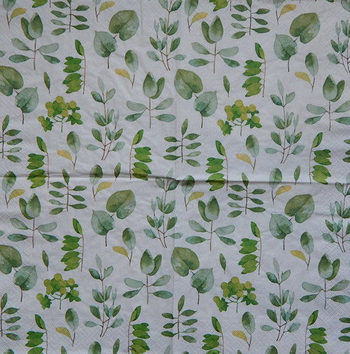 Fresh leaves 3703 — foto 1