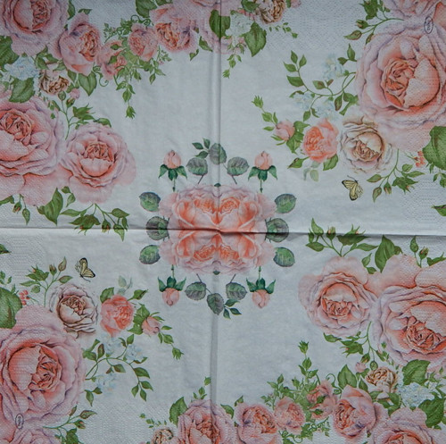 Rose Glory 3706 — foto 1