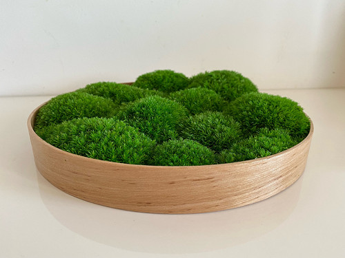 Mechový obraz pr. 25cm - kopečkový — foto 1