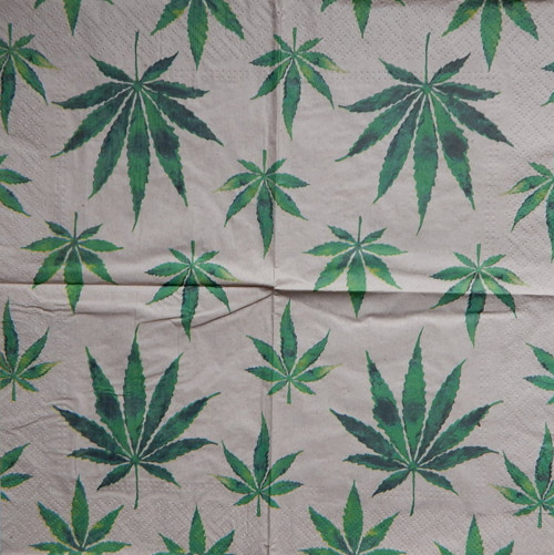 Eco - Listy 3724 — foto 1