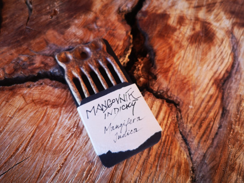 Mangovník indický - hřebínek — foto 1