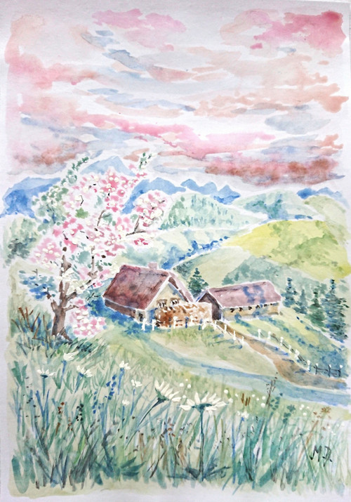 Jarní červánky — foto 1