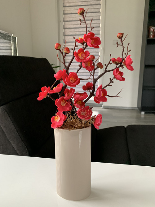 Sakura — foto 1