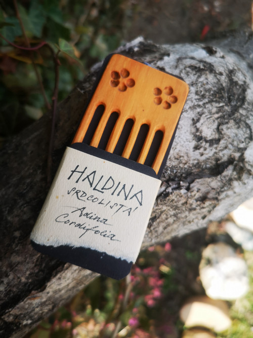 Haldina srdcolistá - hřebínek — foto 1