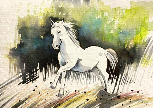 Kůň bělouš / originální akvarel Dlabal