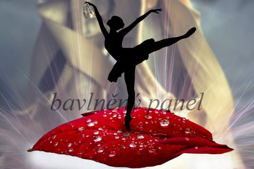 Bavlněný panel FA 165 — foto 1