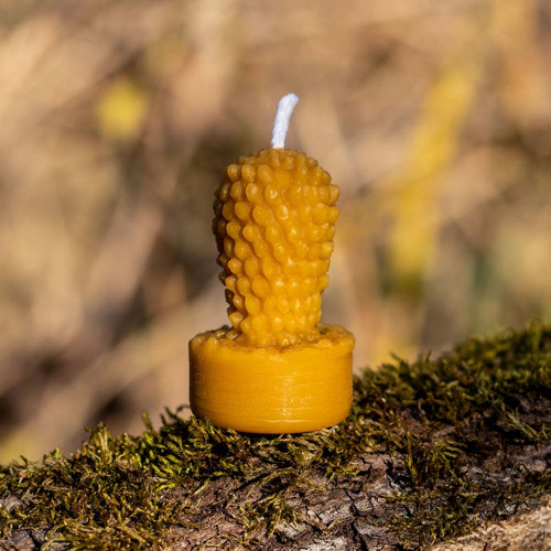 Čajová svíčka - Kaktus