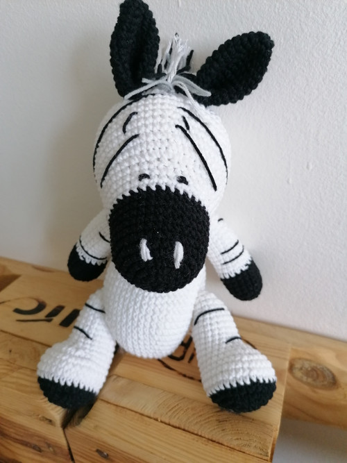 Háčkovaná zebra — foto 1