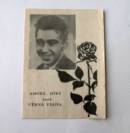 Amore, díky aneb věrná vdova - Josef Zíma