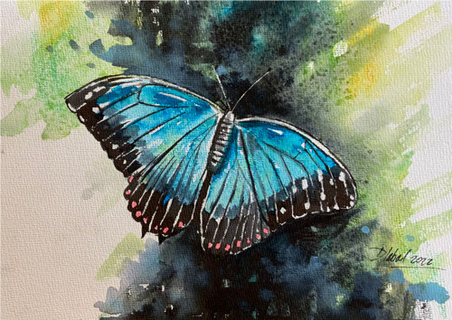 Motýl Morpho peleides / originální akvarel Dlabal