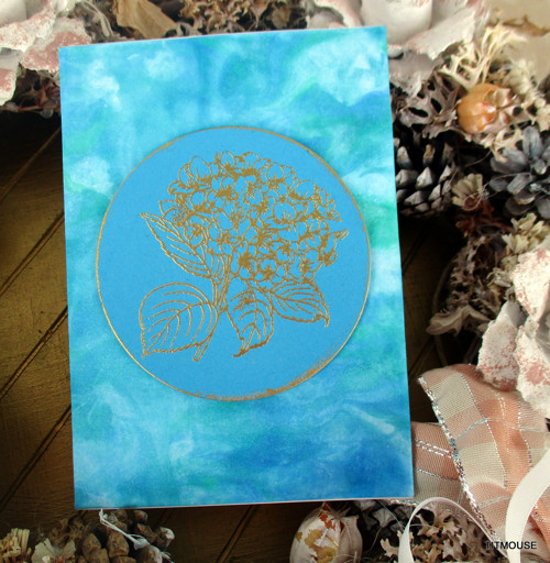 Hydrangea — foto 1