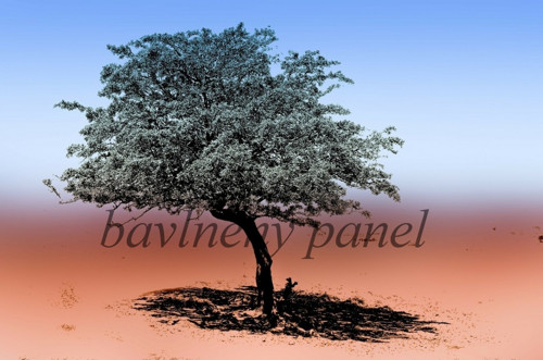 Bavlněný panel STR 38