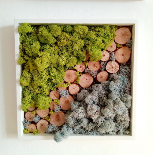Mechový obraz I. 25x25 cm