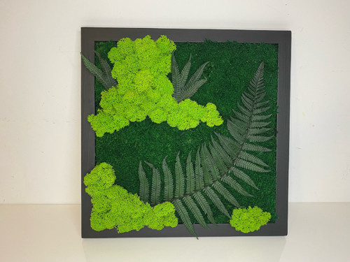 Mechový obraz 30x30cm