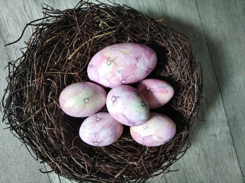 Husí kraslice hortenzie — foto 1