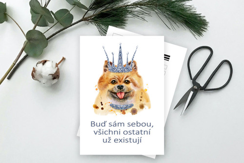 Buď sám sebou .. - pohlednice, kartička