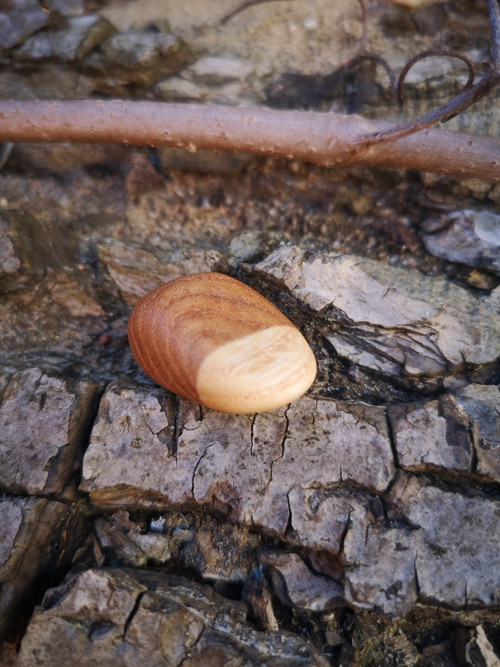 Hmatka - sedmička