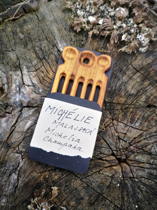 Michélie malajská (Michelia Champaka) - hřebínek
