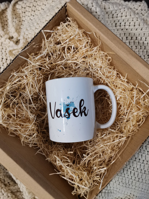 Hrnek se jménem, Vašek