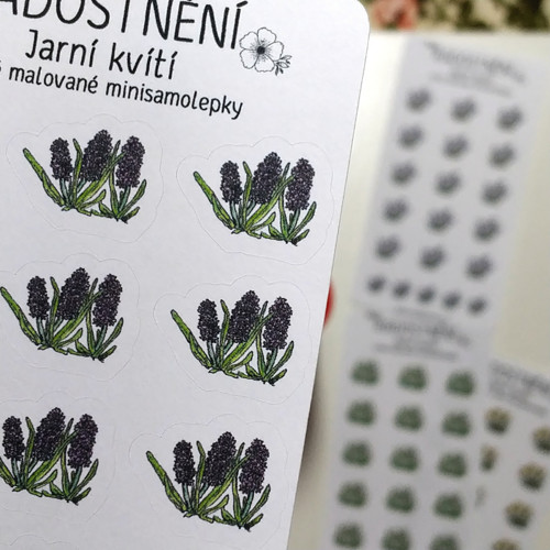 Ručně malované samolepky Jarní kvítí - Hyacint