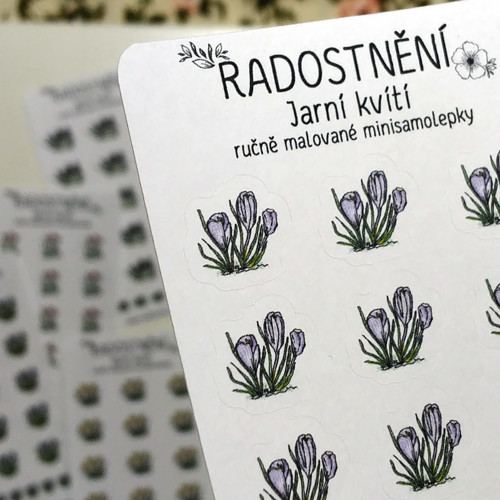 Ručně malované samolepky Jarní kvítí - Krokus