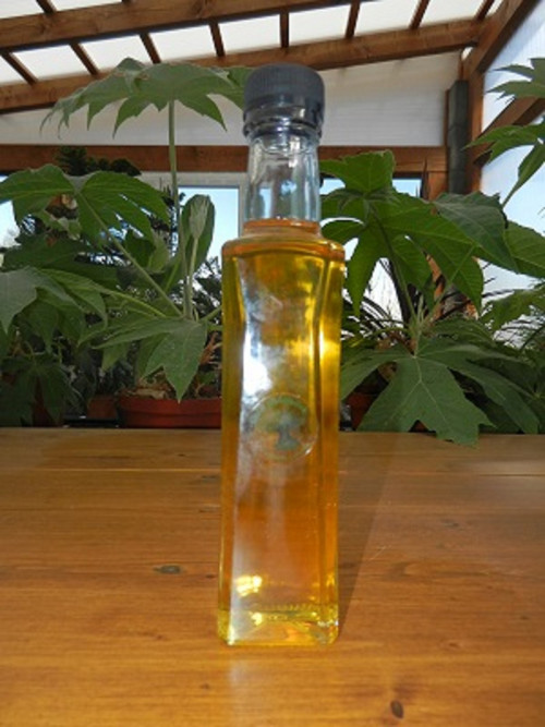 Chilli olej