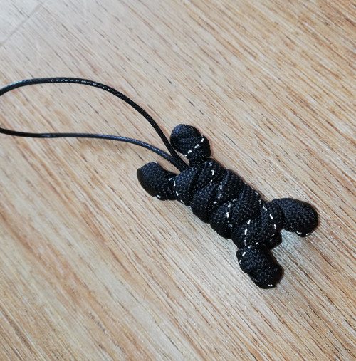 Klíčenka kost černá reflex