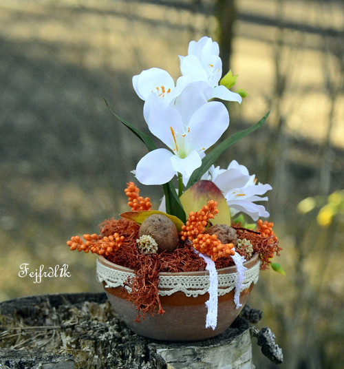 Fresia.. — foto 1