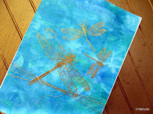 Dragonflies — foto 1