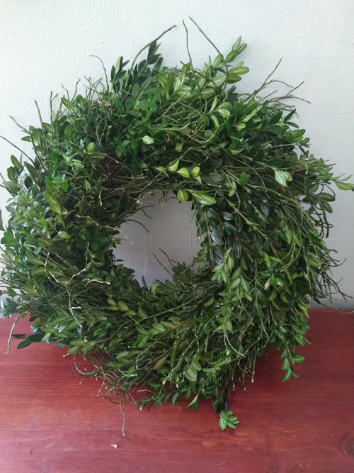 Buxus v doprovodu borůvčí