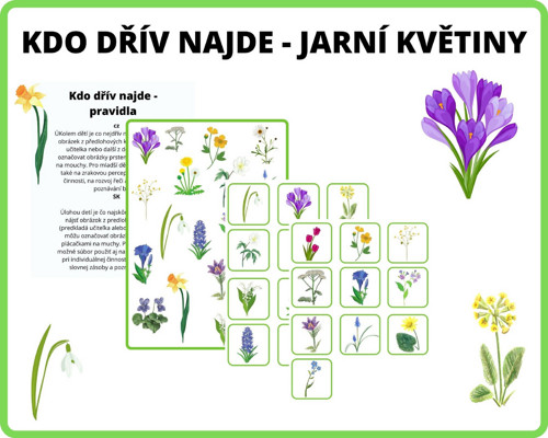 Kdo dřív najde - JARNÍ KVĚTINY