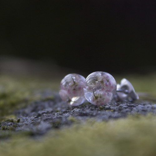 Náušnice květy ozotamnu 8 mm — foto 1