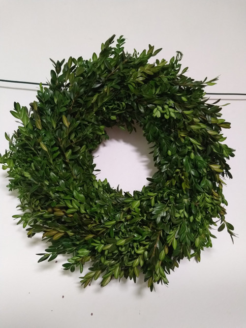 Prostě buxus