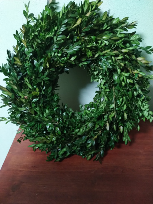 Prostě buxus - menší brácha