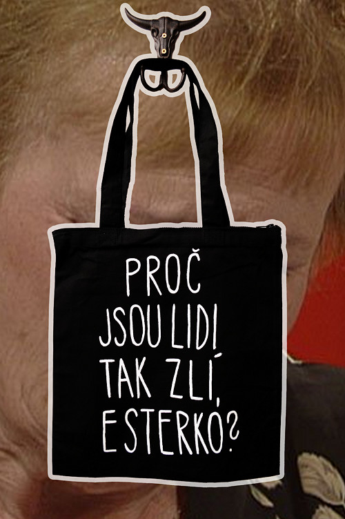 Pevná plátěná taška - Esterko? — foto 1